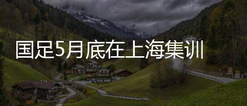 国足5月底在上海集训 将于6月5日客战印尼队