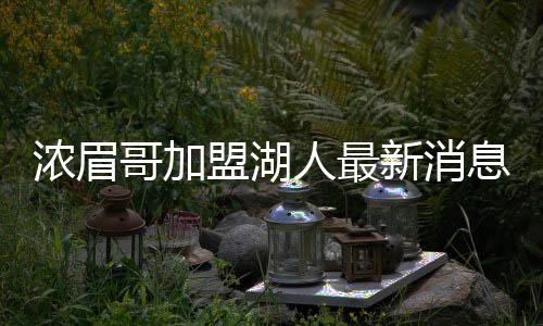 浓眉哥加盟湖人最新消息:戴维斯称仍会为鹈鹕出战