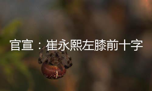 官宣：崔永熙左膝前十字韧带撕裂 本赛季报销