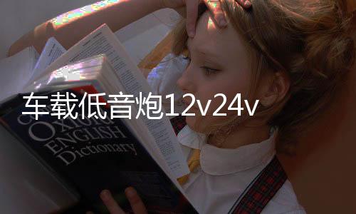 车载低音炮12v24v货汽车专用音响超重大音量家用手机无线蓝牙音箱
