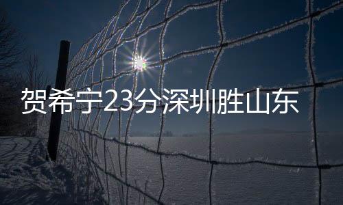 贺希宁23分深圳胜山东 林庭谦13+11天津胜吉林