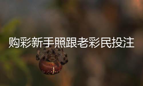 购彩新手照跟老彩民投注各揽大乐透10.5万