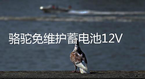 骆驼免维护蓄电池12V100AH中型货车柴油叉车厢式货车原装汽车电瓶